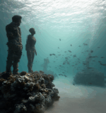 A serene underwater view of divers exploring the life-sized coral-covered sculptures at Cancun’s MUSA museum in clear, softly lit tropical waters.